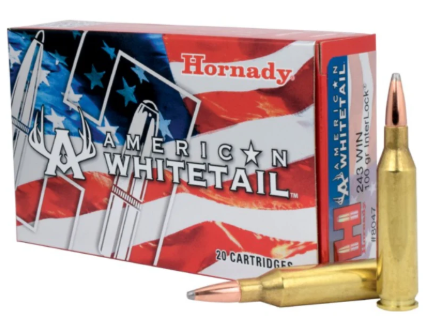 HORNADY AMMO 243 WIN 100GR BTSP AW